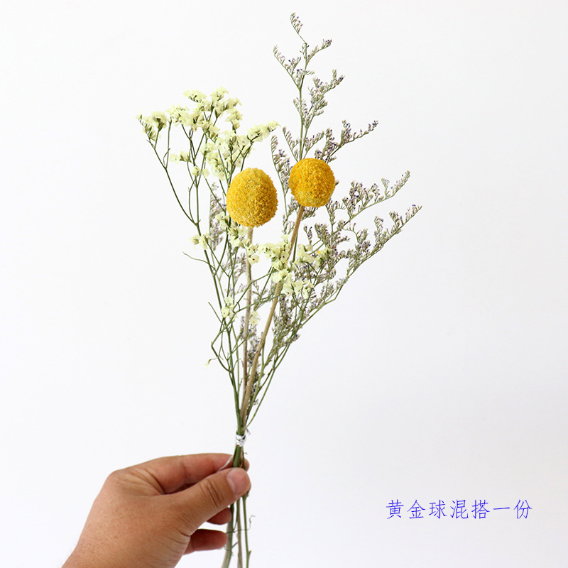 Inserting Flower Hand Fireworks Display Photo Props DIY Limonium Statice Crystal Grass Handmade Real Small Dried Flower Inserting Flower Hand Fireworks Display Photo Props DIY Limonium Statice Crystal Grass Handmade Real Small Dried Flower