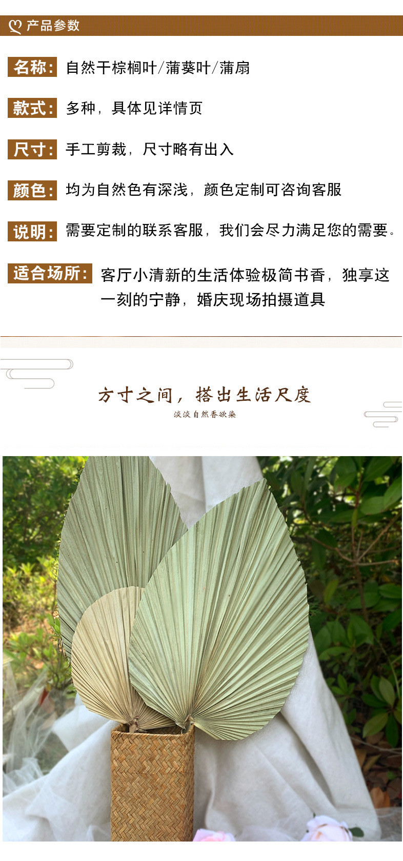 Leaf Chinese Fan Palm Leaf Dried Palm Leaf Mori Style Wedding Layout Props Shop Display Soft Decoration Floor Decoration Leaf Chinese Fan Palm Leaf Dried Palm Leaf Mori Style Wedding Layout Props Shop Display Soft Decoration Floor Decoration