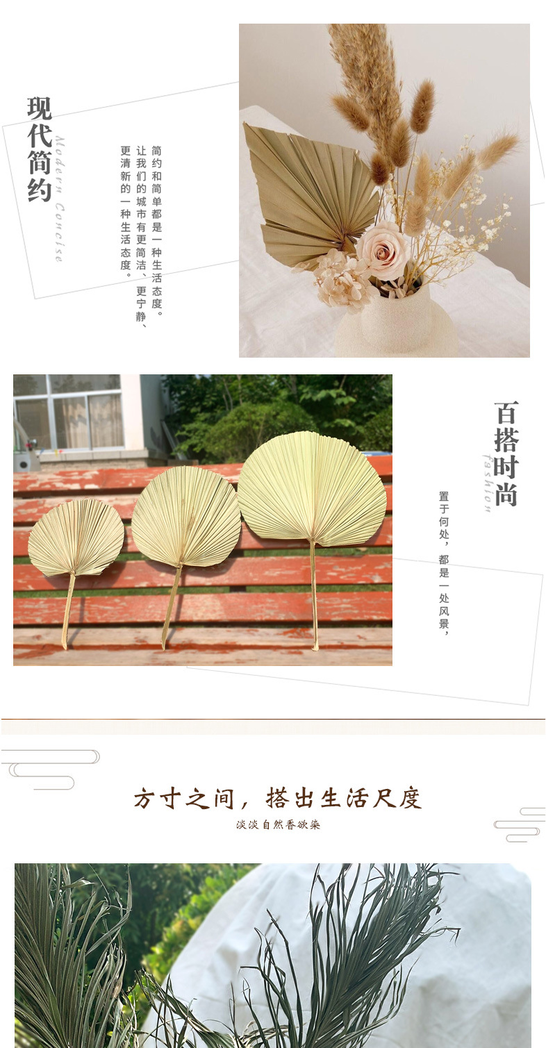 Leaf Chinese Fan Palm Leaf Dried Palm Leaf Mori Style Wedding Layout Props Shop Display Soft Decoration Floor Decoration Leaf Chinese Fan Palm Leaf Dried Palm Leaf Mori Style Wedding Layout Props Shop Display Soft Decoration Floor Decoration