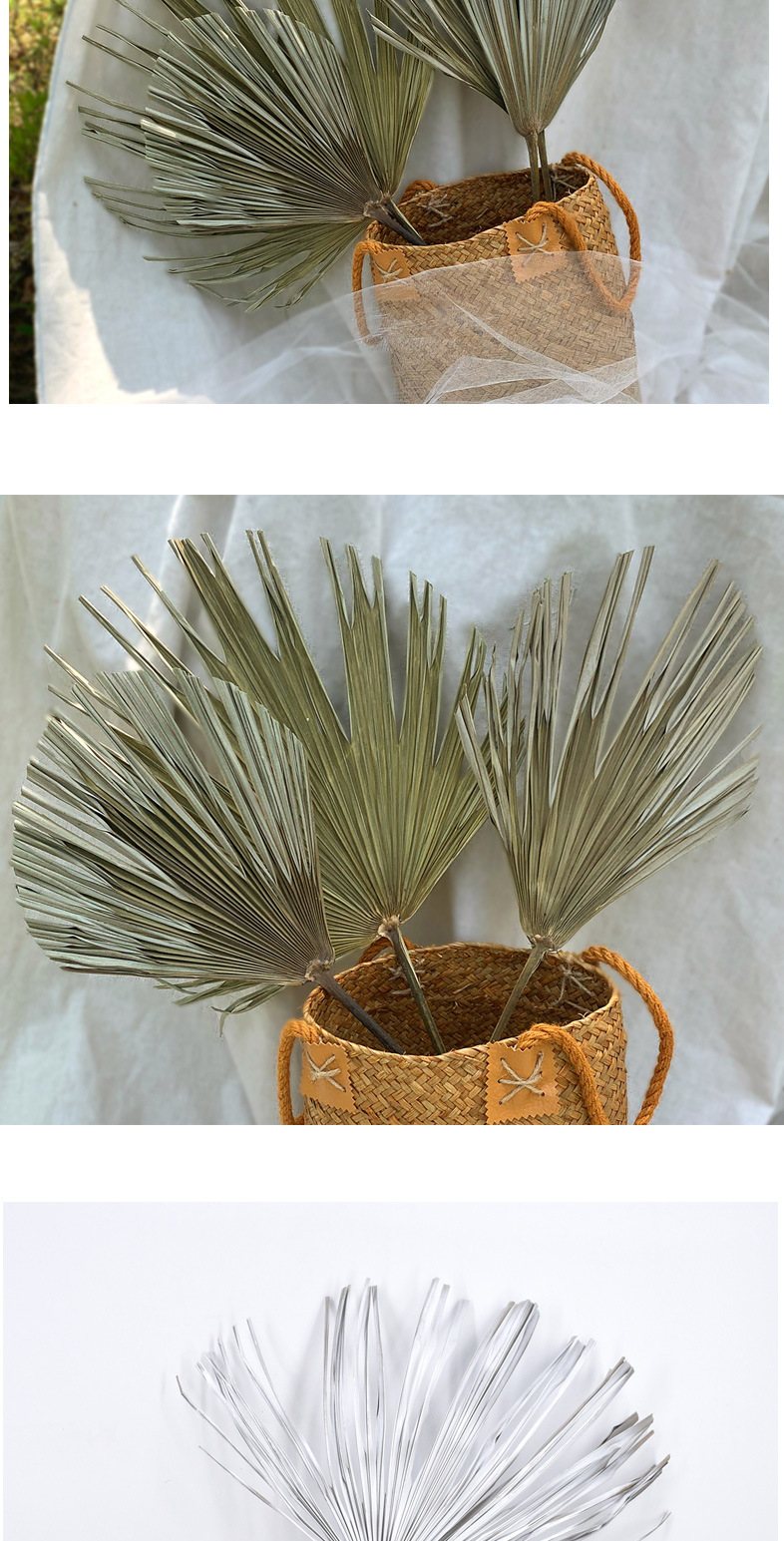 Leaf Chinese Fan Palm Leaf Dried Palm Leaf Mori Style Wedding Layout Props Shop Display Soft Decoration Floor Decoration Leaf Chinese Fan Palm Leaf Dried Palm Leaf Mori Style Wedding Layout Props Shop Display Soft Decoration Floor Decoration