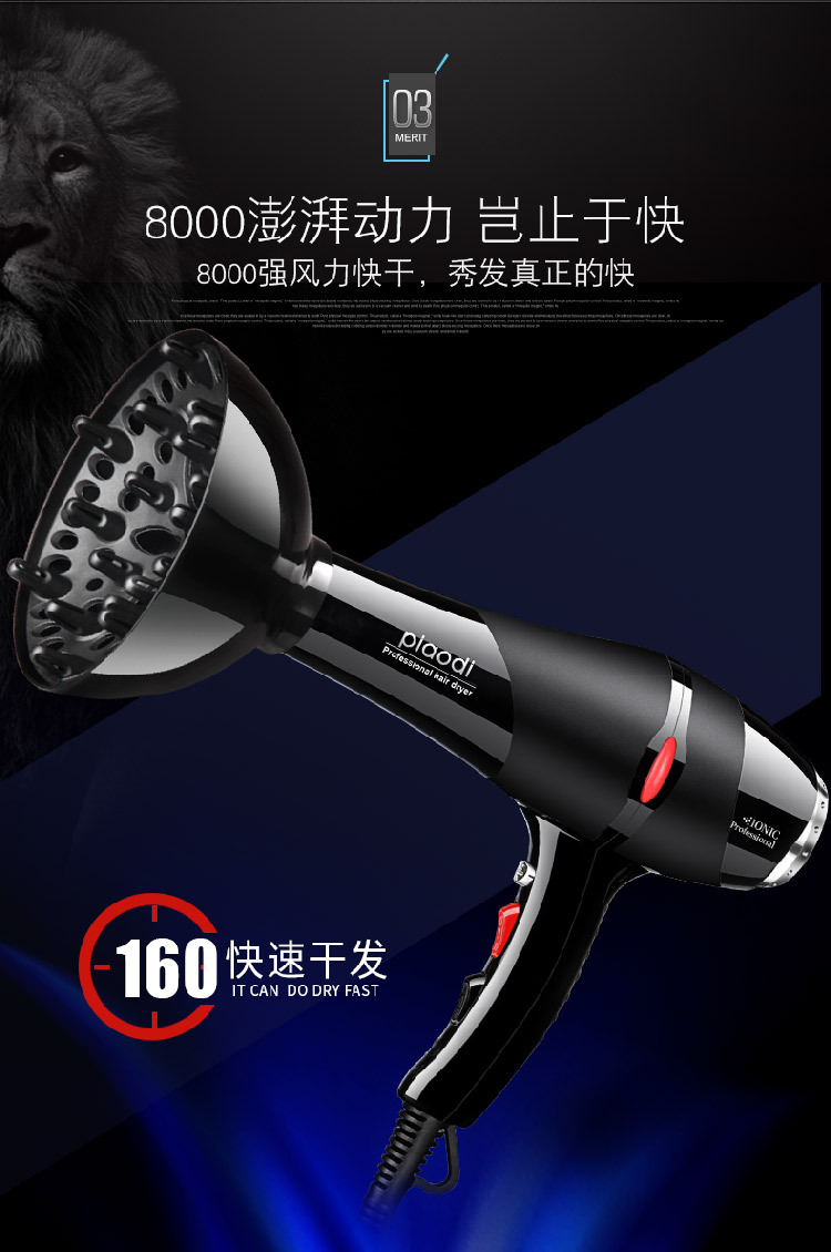 Household Hair Dryer Constant Temperature Heating and Cooling Air Anion Electric Blower MultiGear Adjustable Hair Dryer