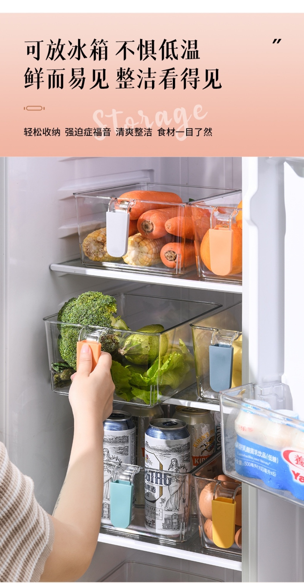 W16-A22 Colorful Handle Storage Box Pet Food Transparent Fresh-Keeping Box Kitchen Fruit Bottle & Can Finishing Box