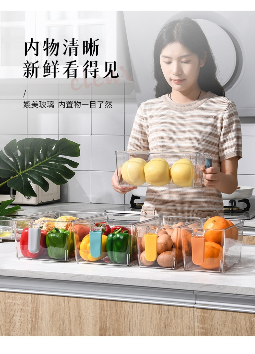 W16-A22 Colorful Handle Storage Box Pet Food Transparent Fresh-Keeping Box Kitchen Fruit Bottle & Can Finishing Box
