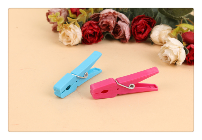 Natural Lin daily necessities fashion household candy color plastic clip spring clip clothespin