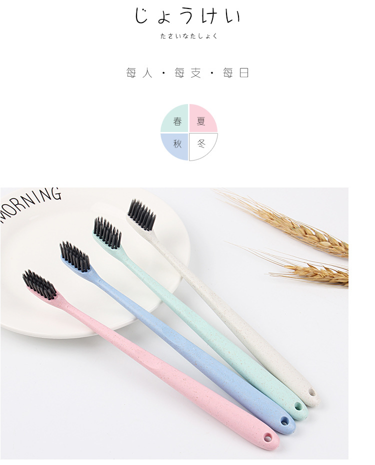 10 pieces of wheat straw filaments with soft bristles couple of adult toothbrushes with carbon brush for home pack