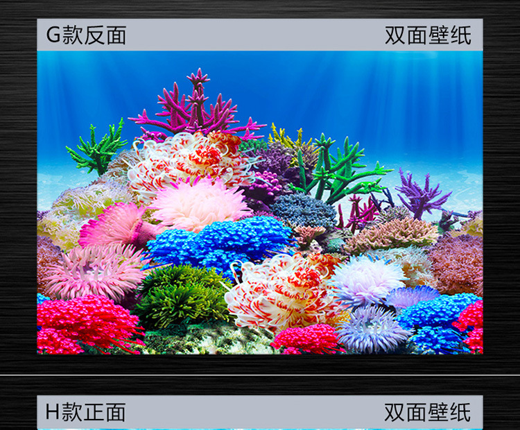 Painting HD Picture 3D Stereo Fish Tank Wallpaper Background Painting DoubleSided Aquarium Decoration Fish Tank Sticker Painting HD Picture 3D Stereo Fish Tank Wallpaper Background Painting DoubleSided Aquarium Decoration Fish Tank Sticker