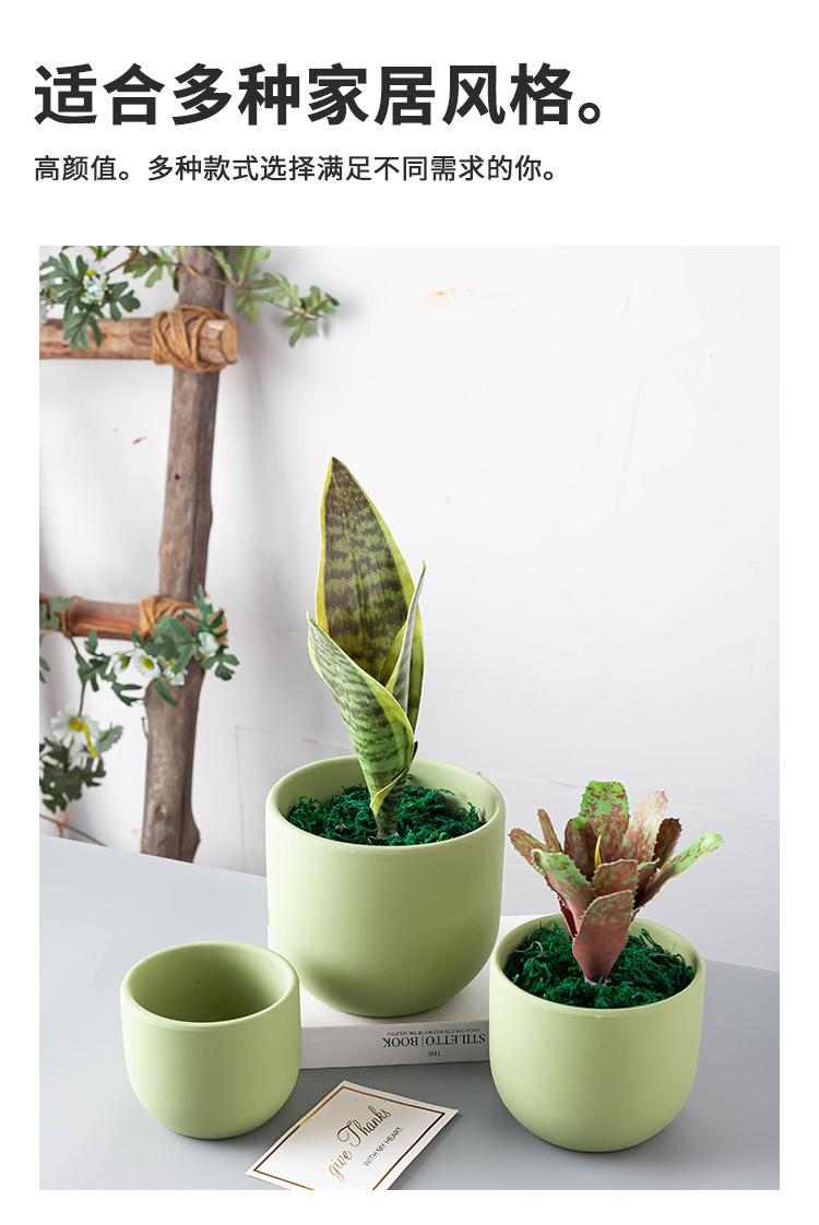 Porcelain craft Nordic Morandi Style Simple Succulents Flower Pot Phalaenopsis Pot Flowers Cactus Large