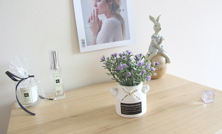 Starry Sky Milk Bottle Small Artificial Flower Plant with Ceramic Se Artificial Flower Crafts Decoration Bow Starry Sky Milk Bottle Small Artificial Flower Plant with Ceramic Se Artificial Flower Crafts Decoration Bow