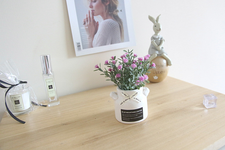 Starry Sky Milk Bottle Small Artificial Flower Plant with Ceramic Se Artificial Flower Crafts Decoration Bow Starry Sky Milk Bottle Small Artificial Flower Plant with Ceramic Se Artificial Flower Crafts Decoration Bow