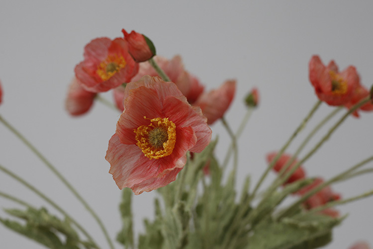 Taobao Tmall Supply Wholesale Affordable Luxury Artificial Flower Yu Mei Flocking Poppy Flower Wedding Photography 