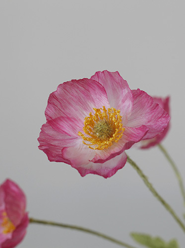 Taobao Tmall Supply Wholesale Affordable Luxury Artificial Flower Yu Mei Flocking Poppy Flower Wedding Photography 