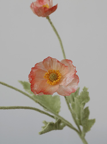 Taobao Tmall Supply Wholesale Affordable Luxury Artificial Flower Yu Mei Flocking Poppy Flower Wedding Photography 
