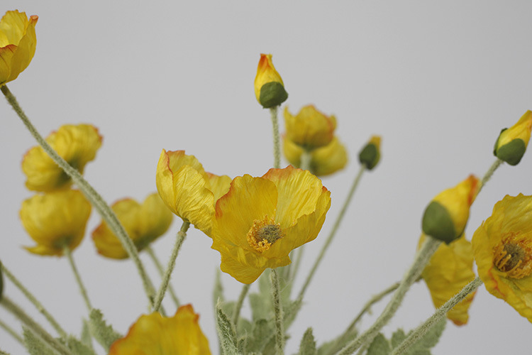 Taobao Tmall Supply Wholesale Affordable Luxury Artificial Flower Yu Mei Flocking Poppy Flower Wedding Photography 