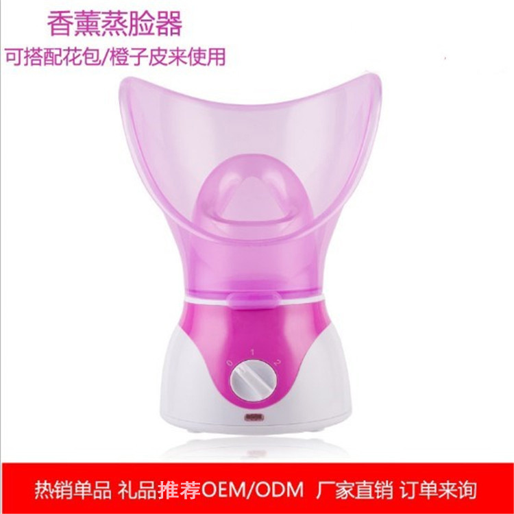 Aromatherapy Sprayer Facial Steamer Water Replenishing Instrument Facial Vaporizer Hot Spray Nasal Steaming Device