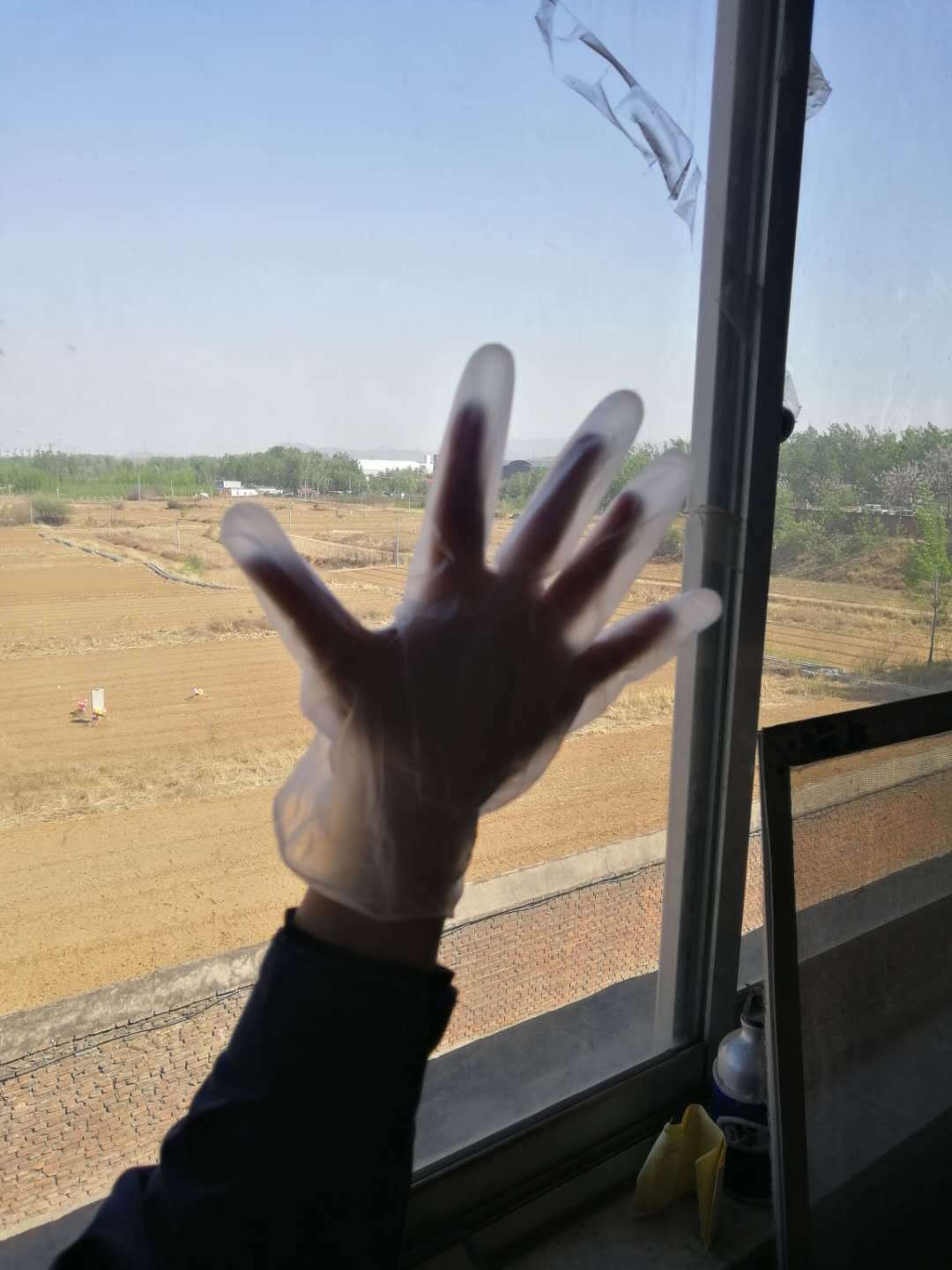 9 Medical eyeball PVC gloves disposable powder free latex nitrile Protection double license can be ed to the world 9 Medical eyeball PVC gloves disposable powder free latex nitrile Protection double license can be ed to the world