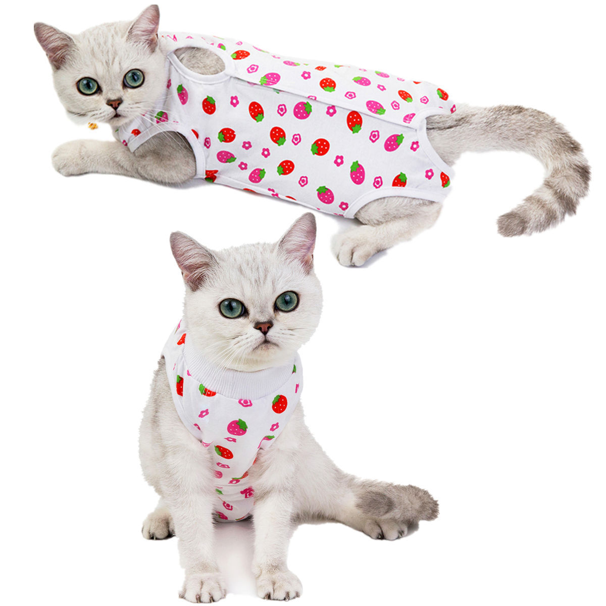 Clothes Cat Postpartum Clothes Spring and Summer New Cat Surgical Clothes AntiLicking and Weaning Clothes Cotton Whole