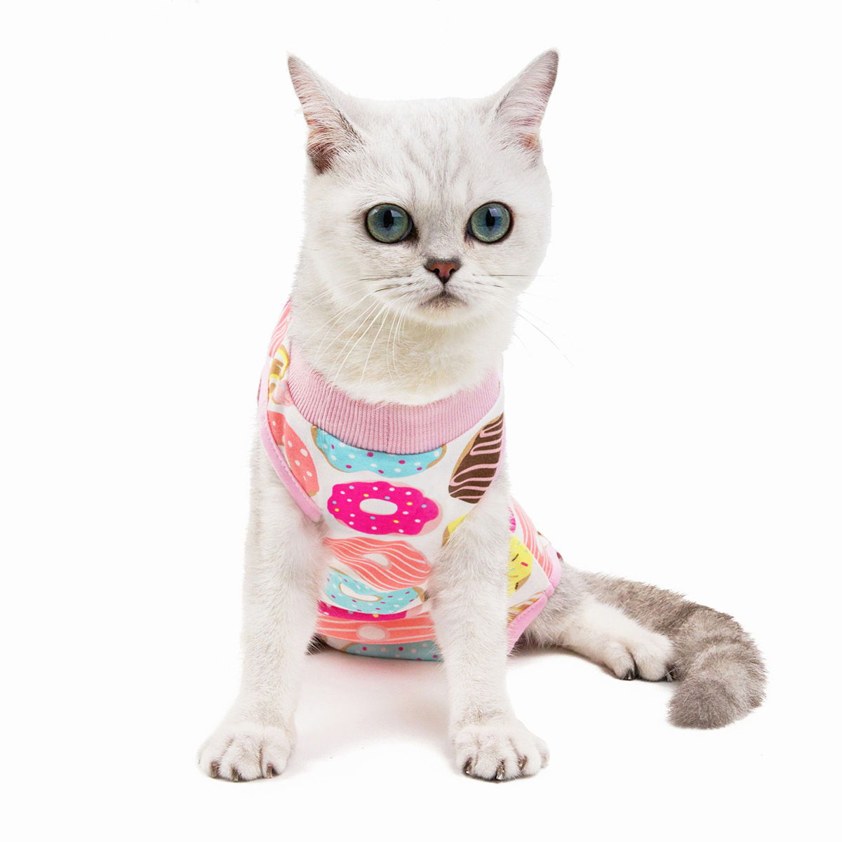 Clothes Cat Postpartum Clothes Spring and Summer New Cat Surgical Clothes AntiLicking and Weaning Clothes Cotton Whole
