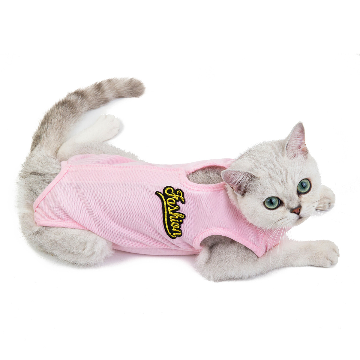 Clothes Cat Postpartum Clothes Spring and Summer New Cat Surgical Clothes AntiLicking and Weaning Clothes Cotton Whole