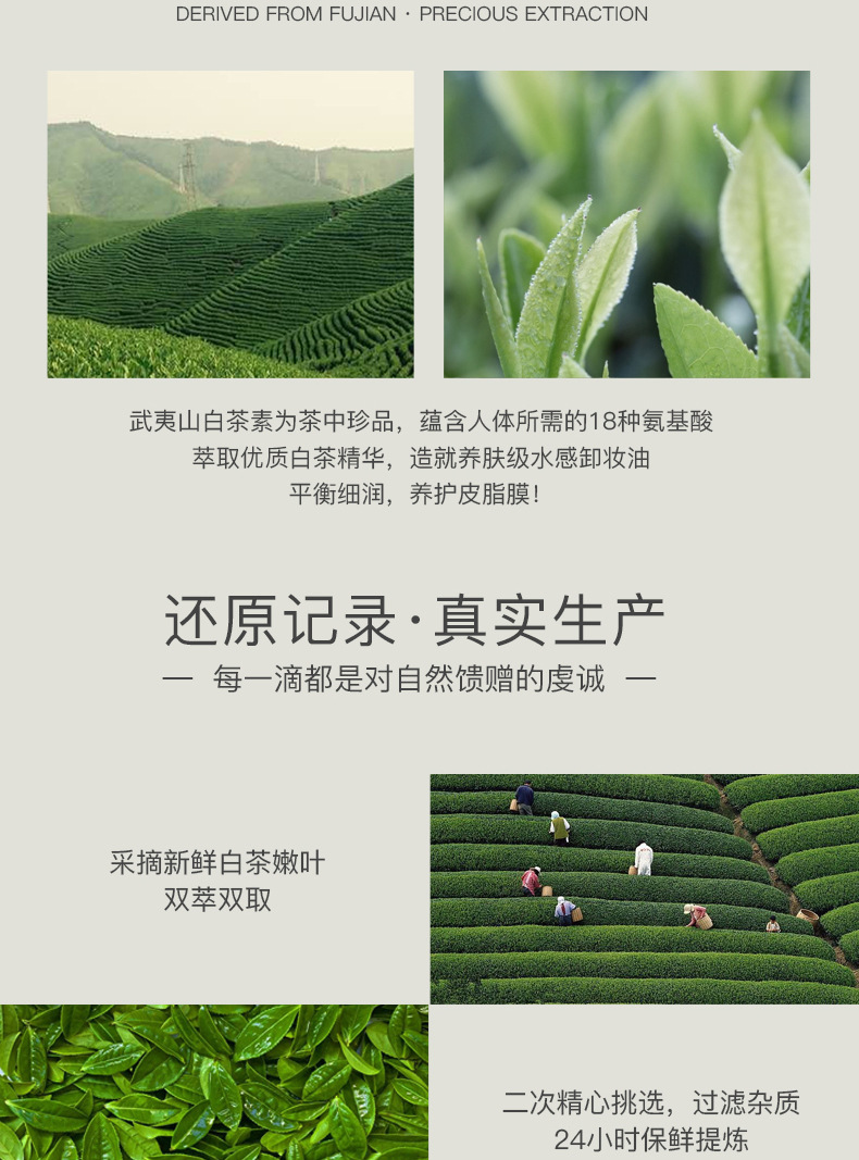 White Tea Clear Cleansing Oil Clean Mild Plant Formula Live Broadcast Same Makeup Remover Can Be Sent on Behalf