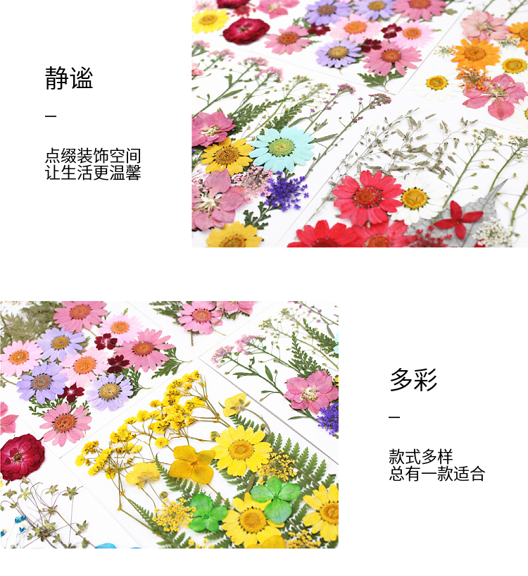 Pressed Flower Embossed Dried Flower Embossing Material Package Leaves Stickers Real Flower Real Plant Specimen Pressed Flower Embossed Dried Flower Embossing Material Package Leaves Stickers Real Flower Real Plant Specimen