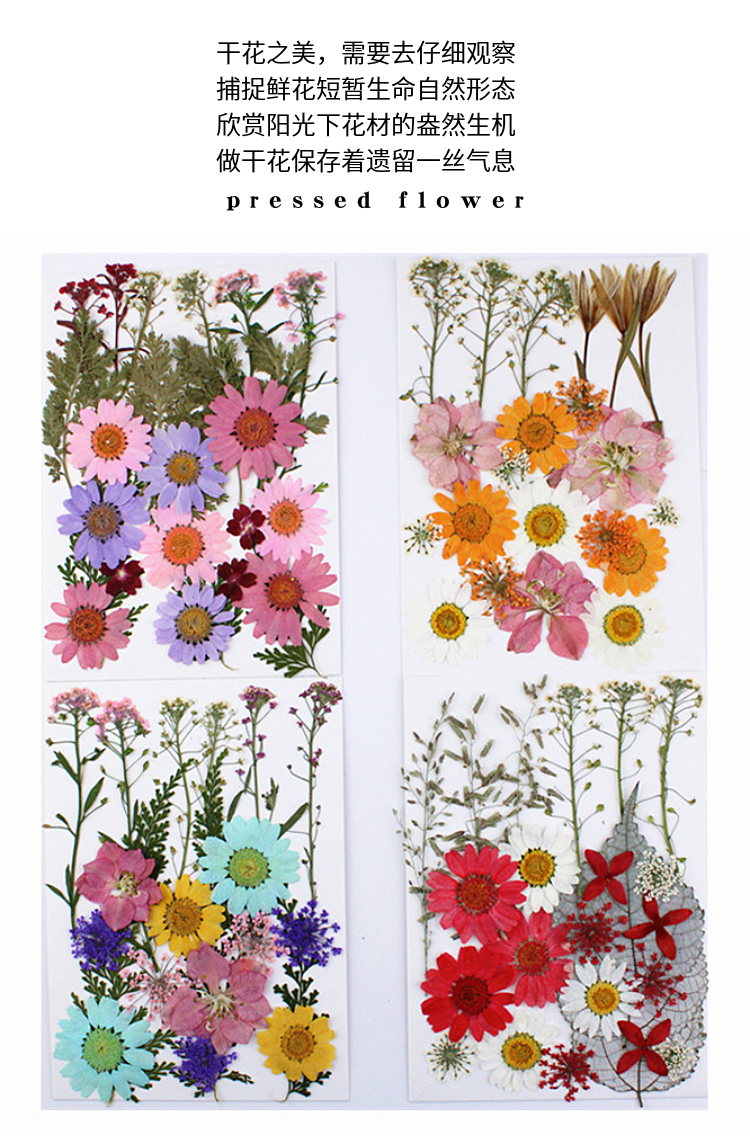Pressed Flower Embossed Dried Flower Embossing Material Package Leaves Stickers Real Flower Real Plant Specimen Pressed Flower Embossed Dried Flower Embossing Material Package Leaves Stickers Real Flower Real Plant Specimen
