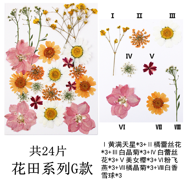 Pressed Flower Embossed Dried Flower Embossing Material Package Leaves Stickers Real Flower Real Plant Specimen Pressed Flower Embossed Dried Flower Embossing Material Package Leaves Stickers Real Flower Real Plant Specimen