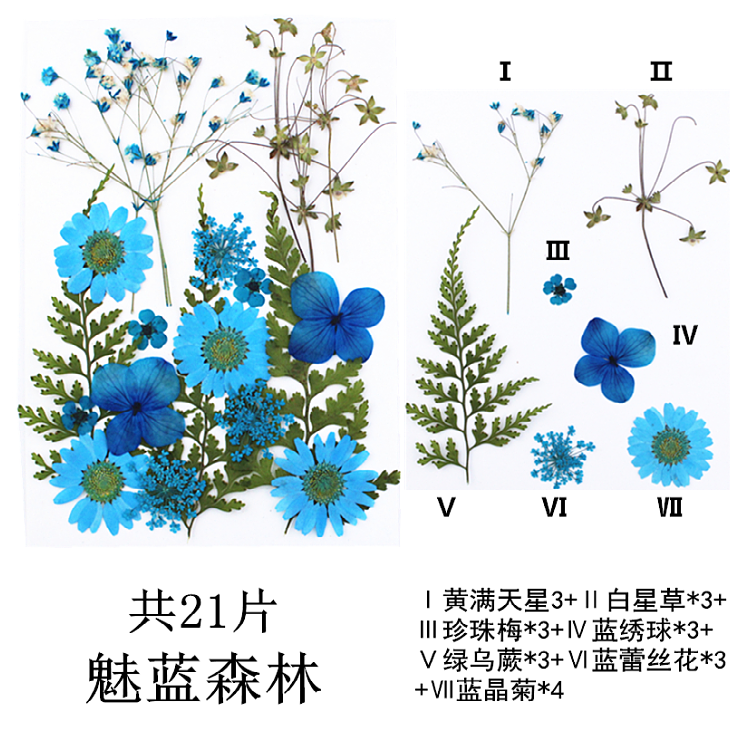 Pressed Flower Embossed Dried Flower Embossing Material Package Leaves Stickers Real Flower Real Plant Specimen Pressed Flower Embossed Dried Flower Embossing Material Package Leaves Stickers Real Flower Real Plant Specimen
