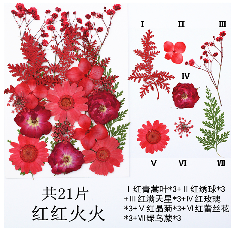 Pressed Flower Embossed Dried Flower Embossing Material Package Leaves Stickers Real Flower Real Plant Specimen Pressed Flower Embossed Dried Flower Embossing Material Package Leaves Stickers Real Flower Real Plant Specimen