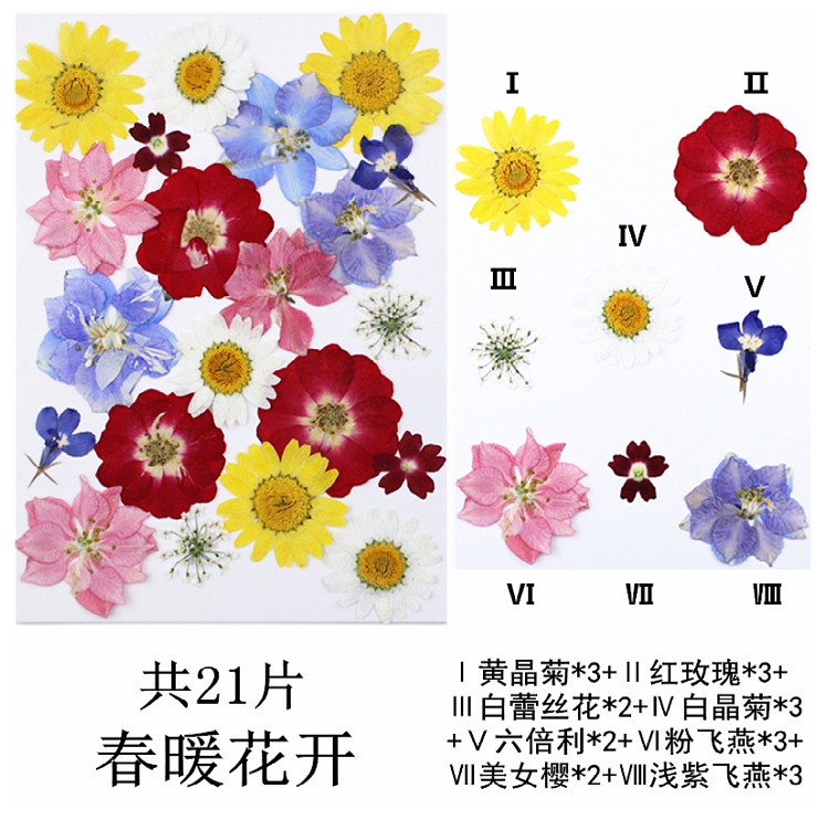 Pressed Flower Embossed Dried Flower Embossing Material Package Leaves Stickers Real Flower Real Plant Specimen Pressed Flower Embossed Dried Flower Embossing Material Package Leaves Stickers Real Flower Real Plant Specimen