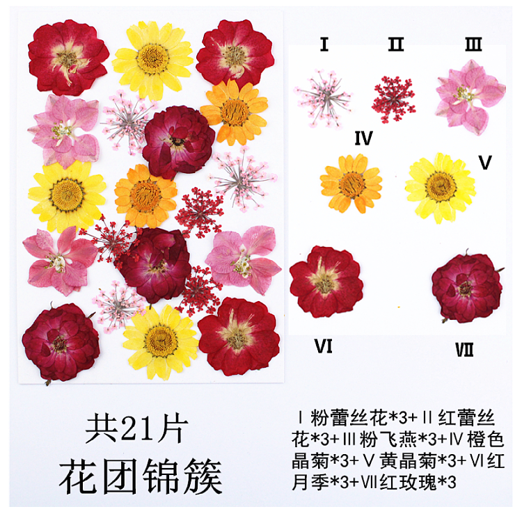 Pressed Flower Embossed Dried Flower Embossing Material Package Leaves Stickers Real Flower Real Plant Specimen Pressed Flower Embossed Dried Flower Embossing Material Package Leaves Stickers Real Flower Real Plant Specimen