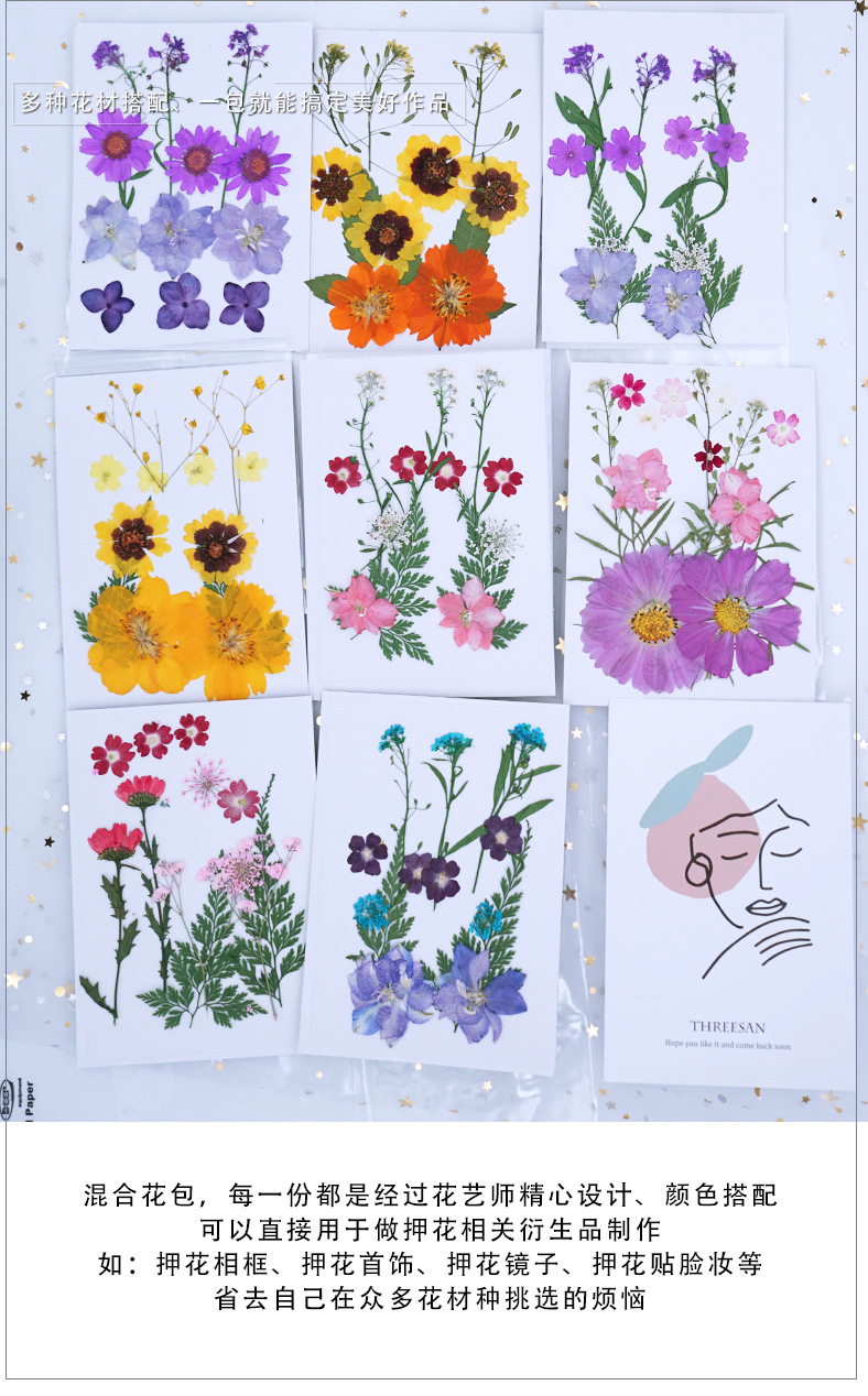 Pressed Flower DIY Material Package Face Embossing Photo Leaves Plant Specimen Bookmark Epoxy Phone Case CrossBorder Pressed Flower DIY Material Package Face Embossing Photo Leaves Plant Specimen Bookmark Epoxy Phone Case CrossBorder