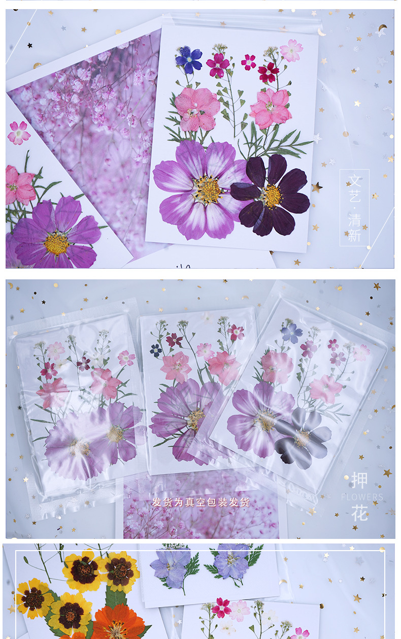 Pressed Flower DIY Material Package Face Embossing Photo Leaves Plant Specimen Bookmark Epoxy Phone Case CrossBorder Pressed Flower DIY Material Package Face Embossing Photo Leaves Plant Specimen Bookmark Epoxy Phone Case CrossBorder