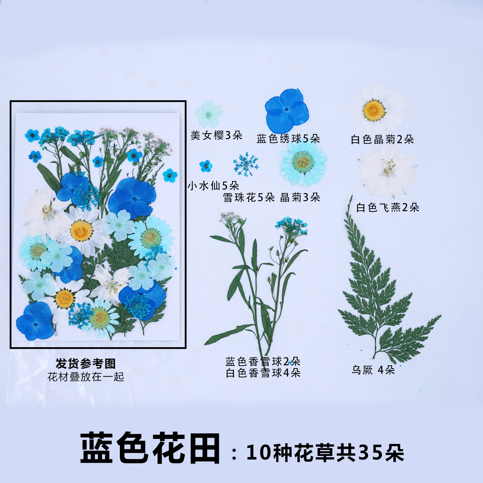 Pressed Flower DIY Material Package Face Embossing Photo Leaves Plant Specimen Bookmark Epoxy Phone Case CrossBorder Pressed Flower DIY Material Package Face Embossing Photo Leaves Plant Specimen Bookmark Epoxy Phone Case CrossBorder