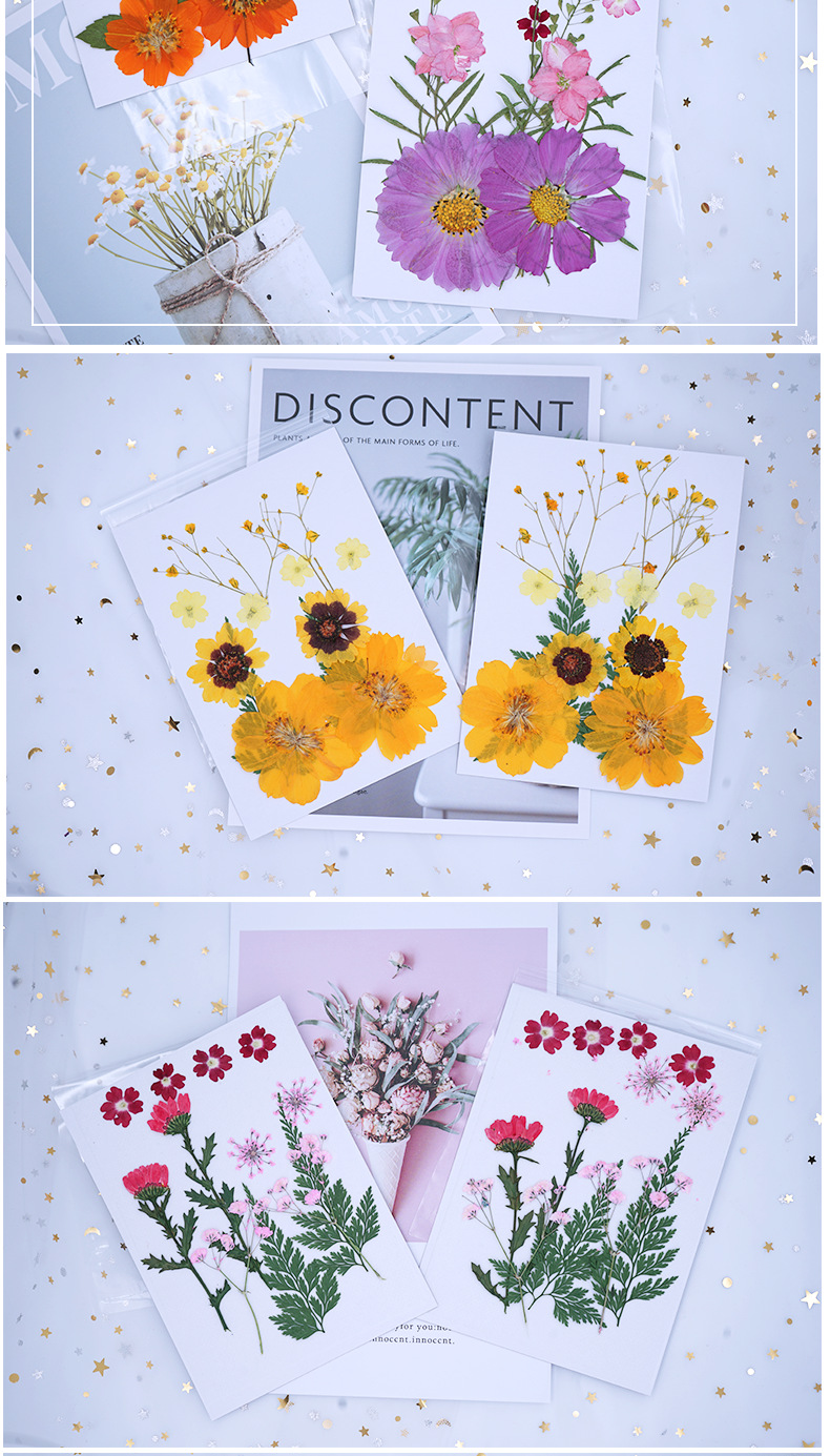 Pressed Flower DIY Material Package Face Embossing Photo Leaves Plant Specimen Bookmark Epoxy Phone Case CrossBorder Pressed Flower DIY Material Package Face Embossing Photo Leaves Plant Specimen Bookmark Epoxy Phone Case CrossBorder