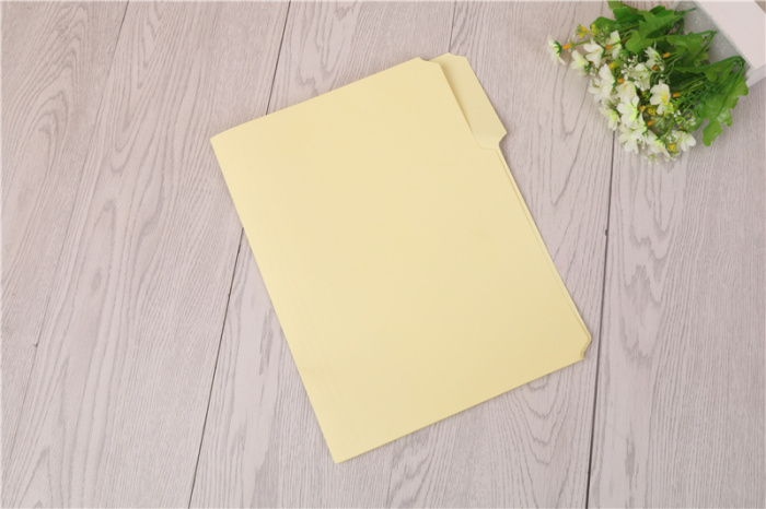 Manila paper clip folder paper report Folder Green folder Manila paper clip folder paper report Folder Green folder