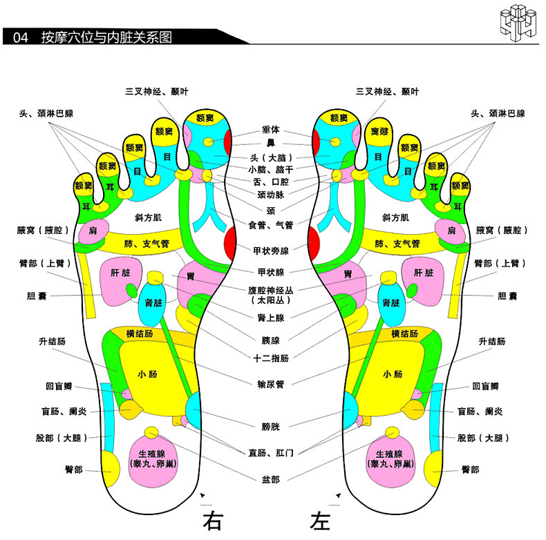 Lodestone twist waist plate strengthening version of the sports household fitness equipment dancing sports fitness equipment weight loss equipment