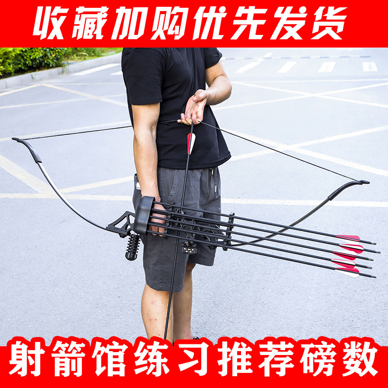 Dele Stone Bow and Arrow Shooting Sports Cam Bow Traditional Bow Archery Equipment Outdoor Alloy Metal Factory Direct Sales