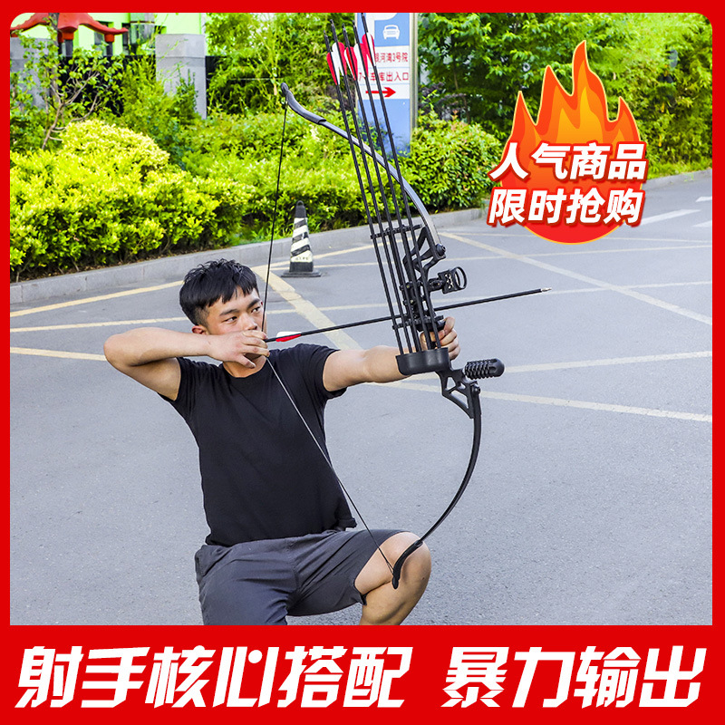 Dele Stone Bow and Arrow Shooting Sports Cam Bow Traditional Bow Archery Equipment Outdoor Alloy Metal Factory Direct Sales