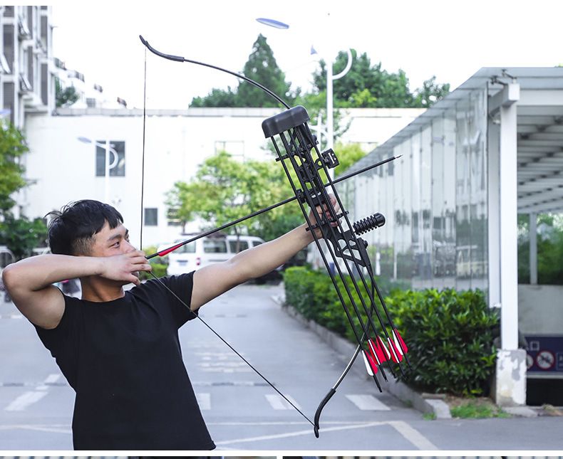 Dele Stone Bow and Arrow Shooting Sports Cam Bow Traditional Bow Archery Equipment Outdoor Alloy Metal Factory Direct Sales