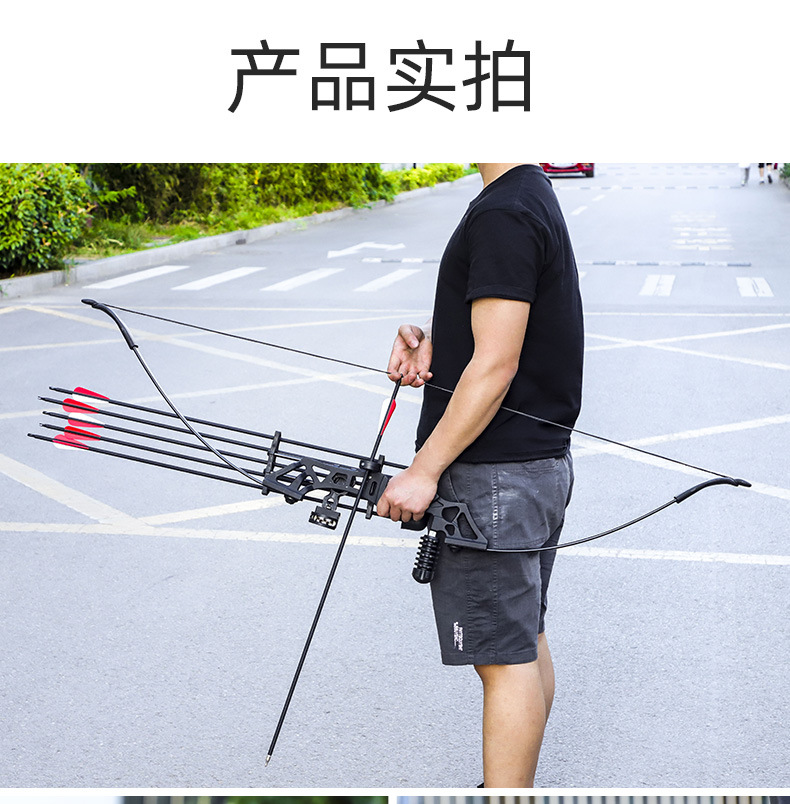 Dele Stone Bow and Arrow Shooting Sports Cam Bow Traditional Bow Archery Equipment Outdoor Alloy Metal Factory Direct Sales