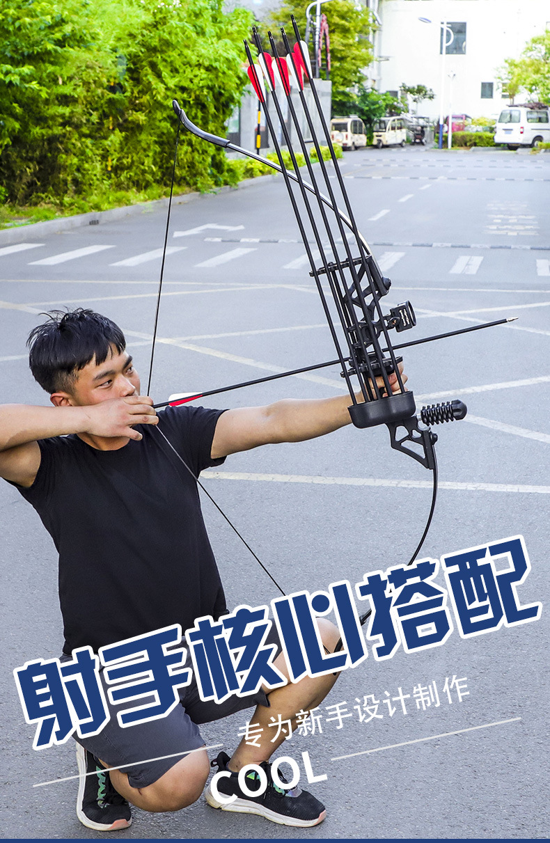 Dele Stone Bow and Arrow Shooting Sports Cam Bow Traditional Bow Archery Equipment Outdoor Alloy Metal Factory Direct Sales