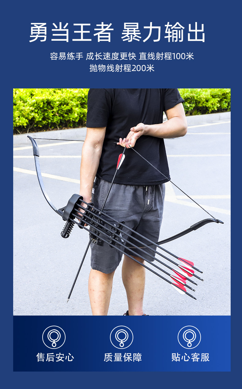 Dele Stone Bow and Arrow Shooting Sports Cam Bow Traditional Bow Archery Equipment Outdoor Alloy Metal Factory Direct Sales