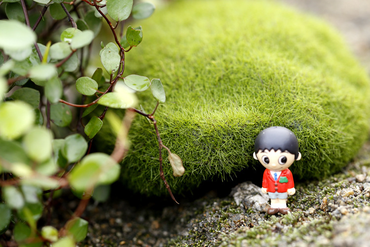 Simulation Moss Moss Stone Flocking Stone Moss Lawn Micro Landscape Ornaments Decorative Simulation Fake Stone