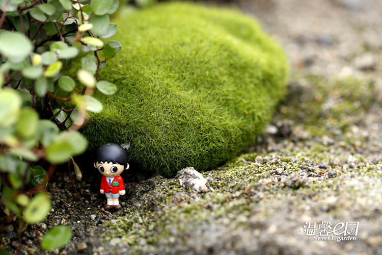 Simulation Moss Moss Stone Flocking Stone Moss Lawn Micro Landscape Ornaments Decorative Simulation Fake Stone