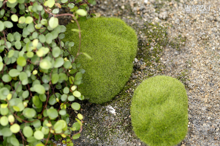 Simulation Moss Moss Stone Flocking Stone Moss Lawn Micro Landscape Ornaments Decorative Simulation Fake Stone