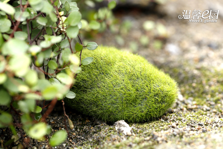 Simulation Moss Moss Stone Flocking Stone Moss Lawn Micro Landscape Ornaments Decorative Simulation Fake Stone