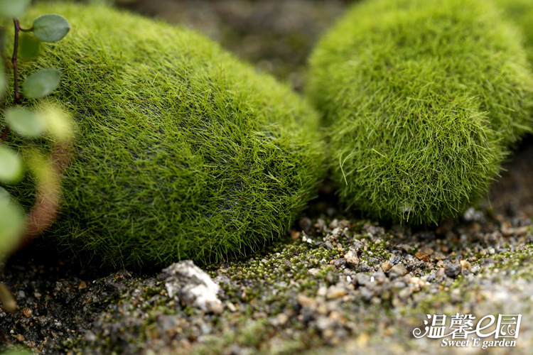 Simulation Moss Moss Stone Flocking Stone Moss Lawn Micro Landscape Ornaments Decorative Simulation Fake Stone