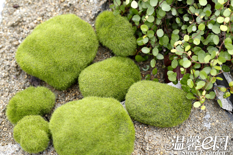 Simulation Moss Moss Stone Flocking Stone Moss Lawn Micro Landscape Ornaments Decorative Simulation Fake Stone