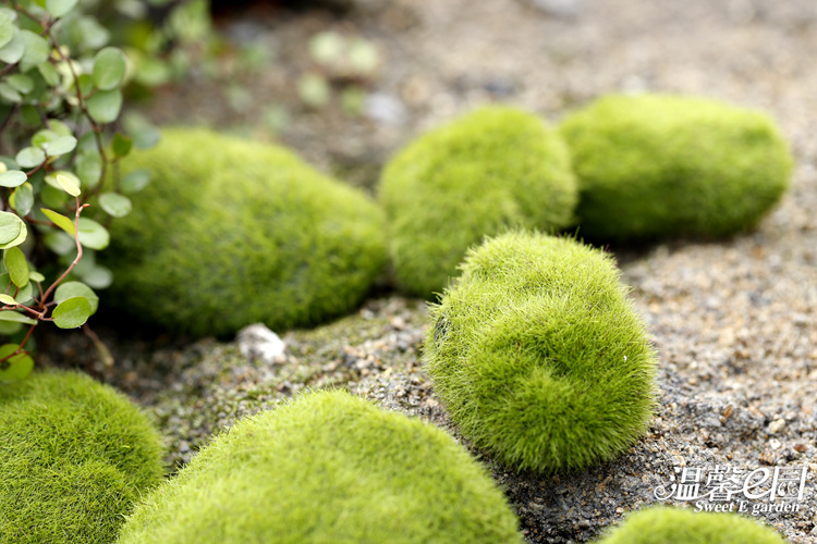 Simulation Moss Moss Stone Flocking Stone Moss Lawn Micro Landscape Ornaments Decorative Simulation Fake Stone