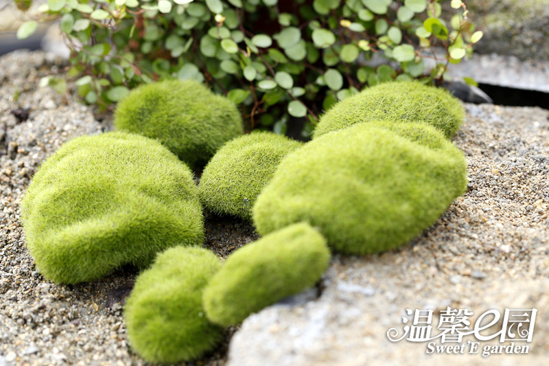 Simulation Moss Moss Stone Flocking Stone Moss Lawn Micro Landscape Ornaments Decorative Simulation Fake Stone